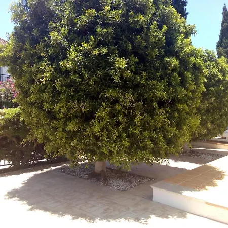 Summer Breeze Private Pool וילה איה נאפה